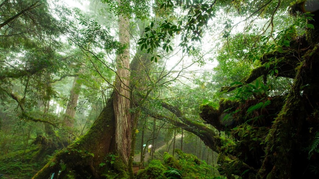 Qilan Wildlife Reserve, Taiwan