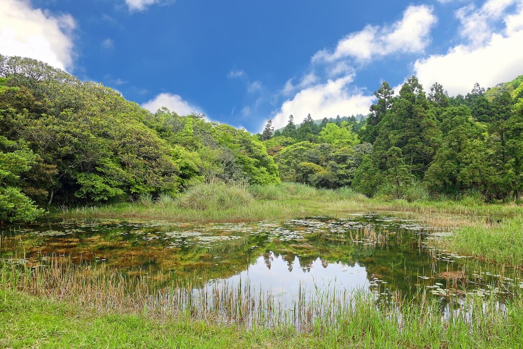 Lengshuikeng, Qixingshan Special Scenic Area, Taiwan