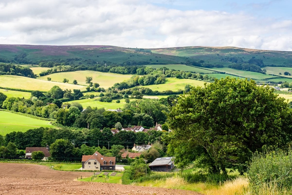 Quantock Hills Area, England
