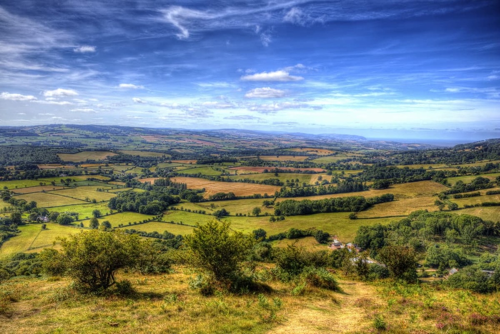 Quantock Hills Area, England