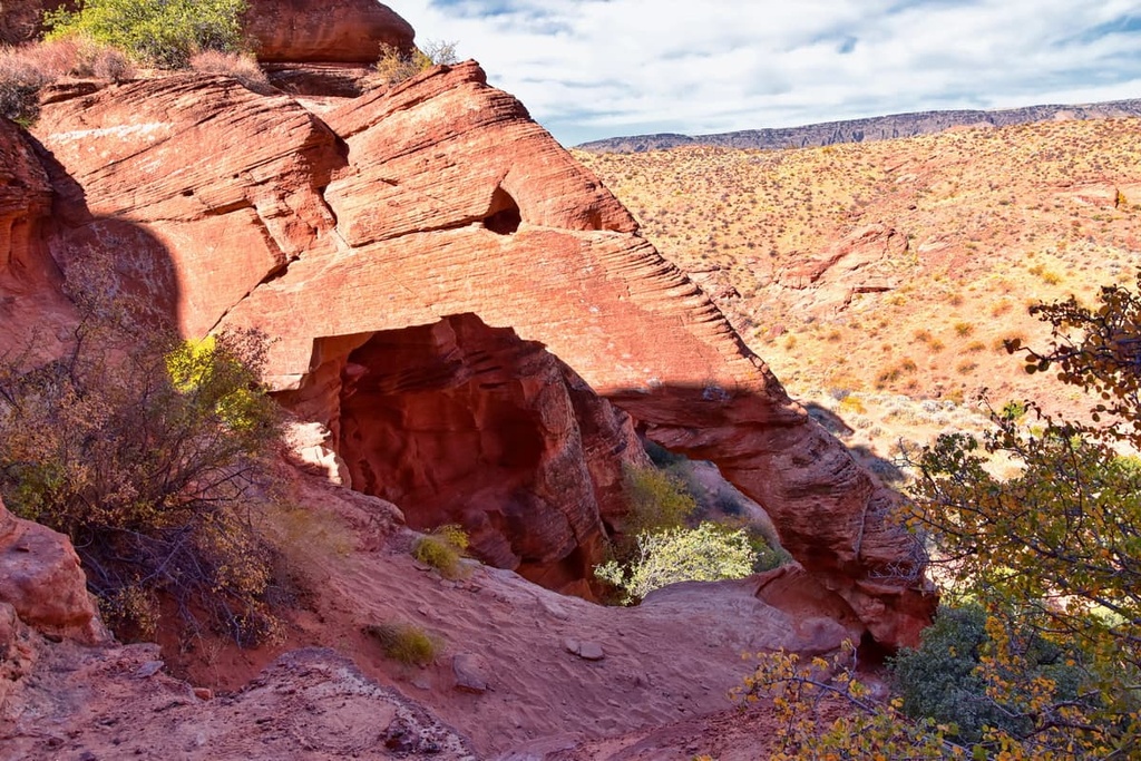Red Cliffs National Conservation Area, Utah
