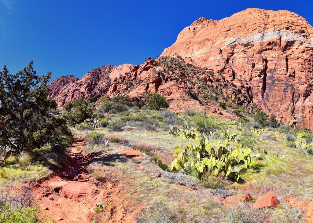 Red Cliffs National Conservation Area, Utah