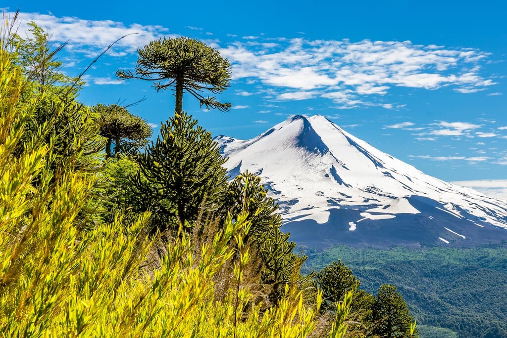 Llaima volcano, Conguillio National Park, Chile
