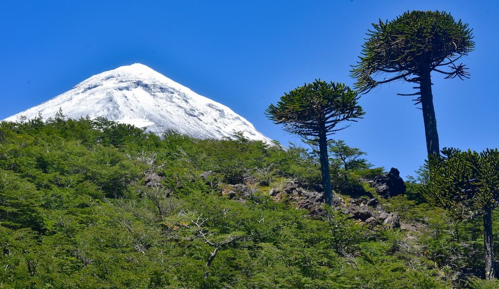 Parque Nacional Villarrica, Chile