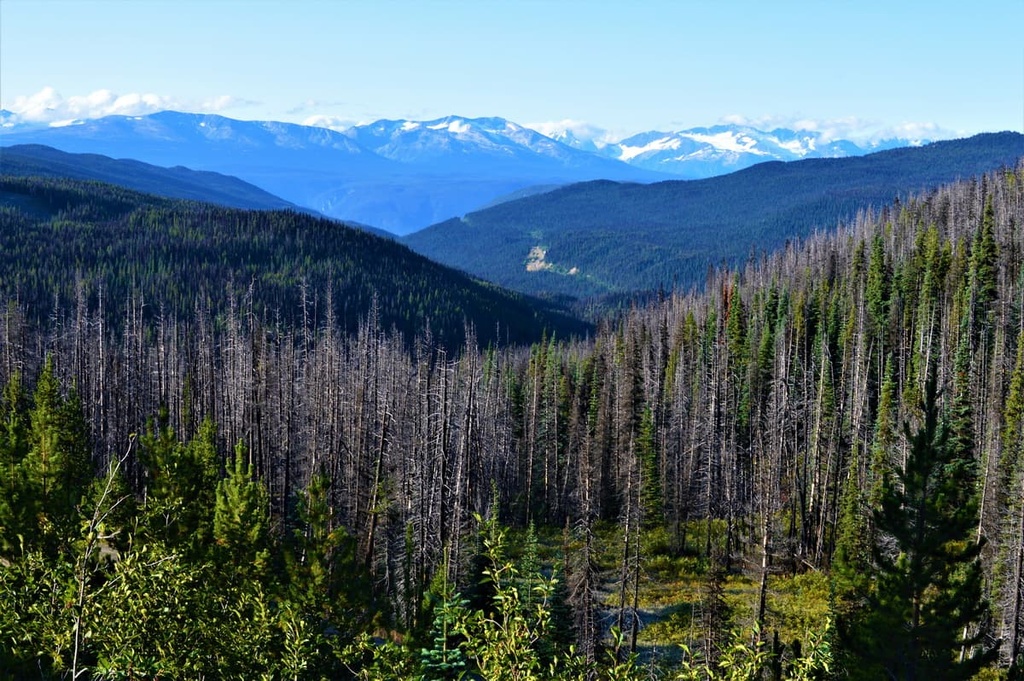 Tweedsmuir Provincial Park, Regional District of Bulkley-Nechako, British Columbia