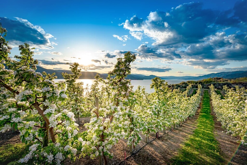 Regional District of Central Okanagan 