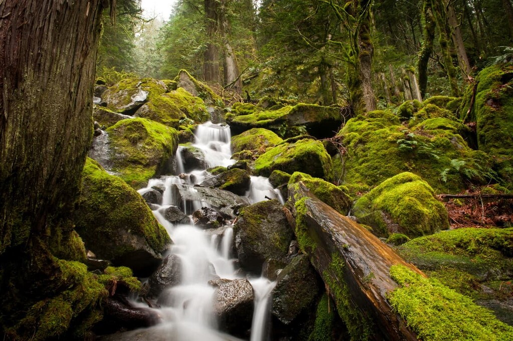Regional District of Kootenay Boundary