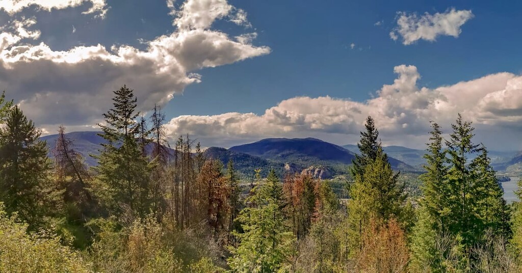 Regional District of Kootenay Boundary