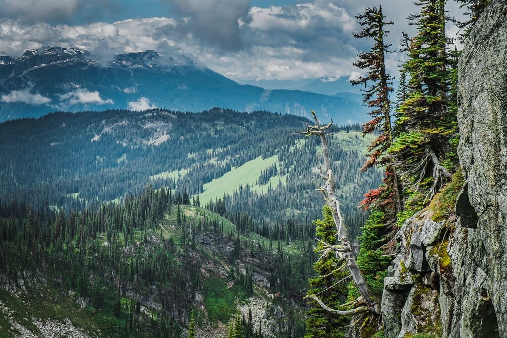 Monashee forest, Regional District of North Okanagan