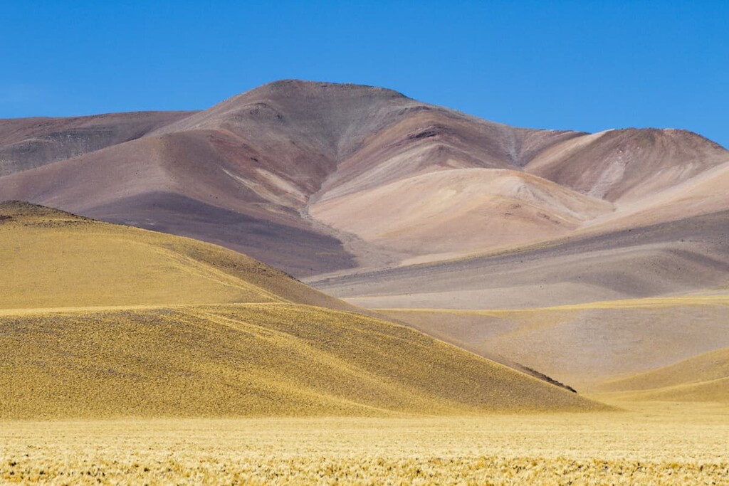Reserva Natural Provincial Laguna Blanca, Argentina