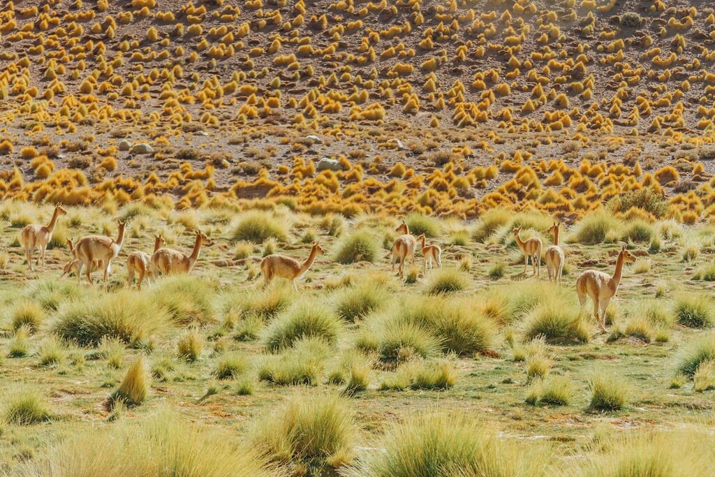 Reserva Natural Provincial Laguna Blanca