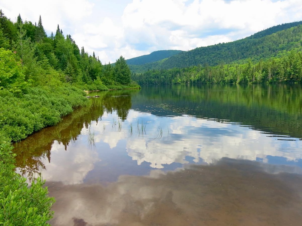 Réserve faunique des Laurentides