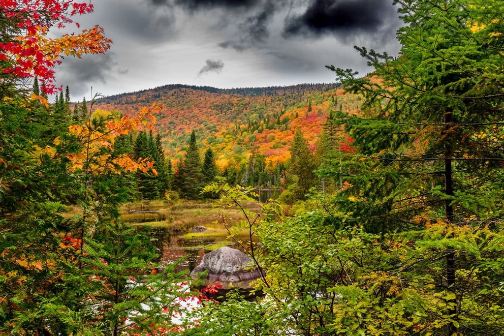Réserve faunique des Laurentides, Quebec