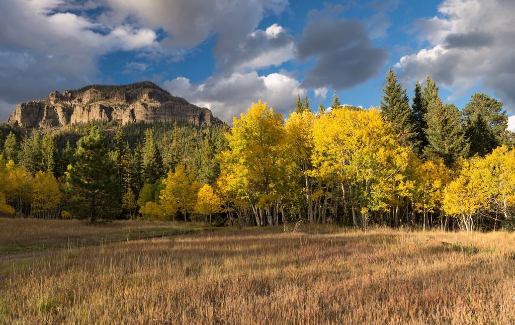 Cimarrona Campground, Weminuche Wilderness, Rio Grande National Forest, Colorado