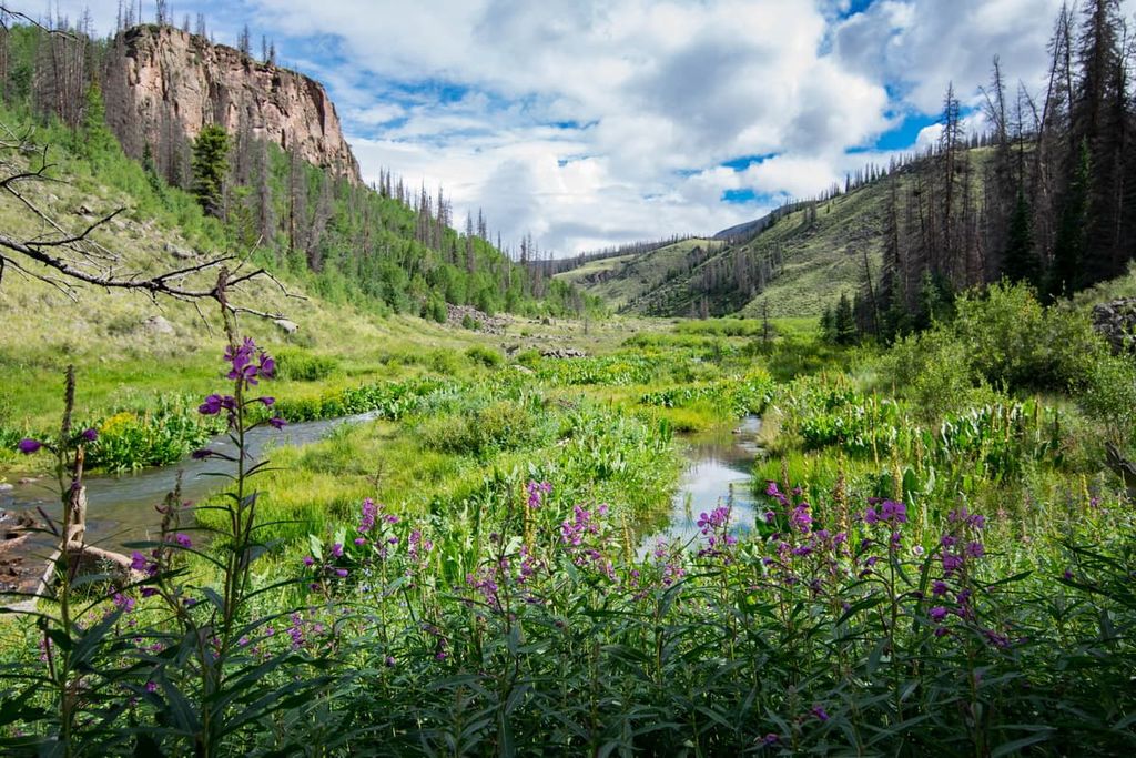 La Garita Wilderness, Rio Grande National Forest, Colorado