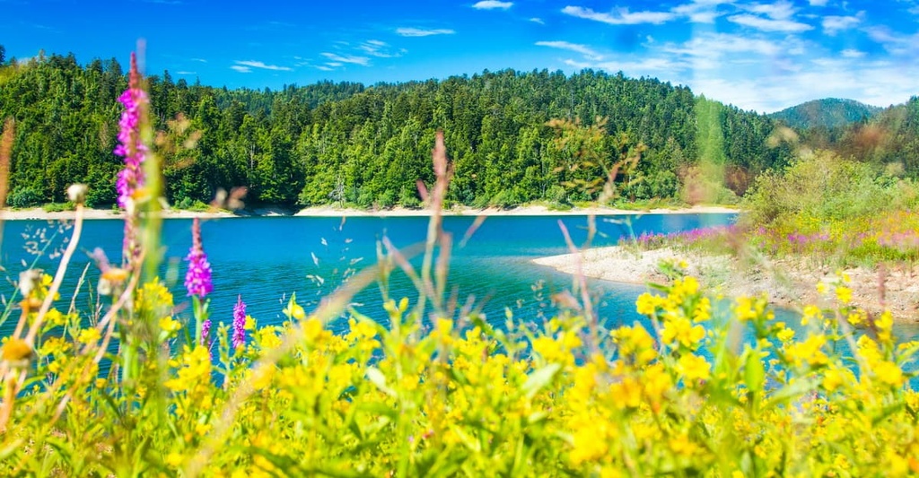 Veliki Risnjak, Risnjak National Park, Croatia