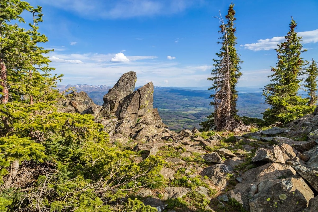 Hahns Peak, Routt National Forest, Colorado