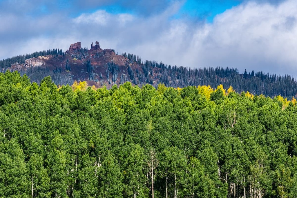Rabbit Ears, Routt National Forest, Colorado