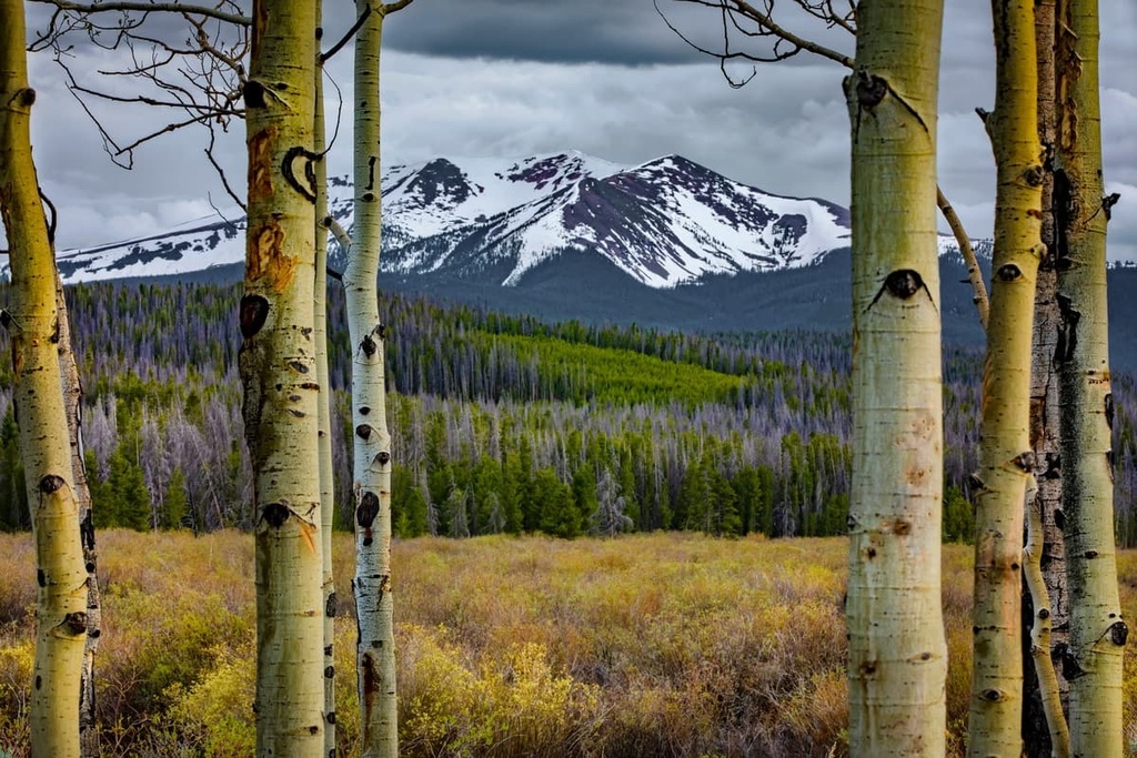 Parkview Mountain, Parkview Mountain, Routt National Forest, Colorado