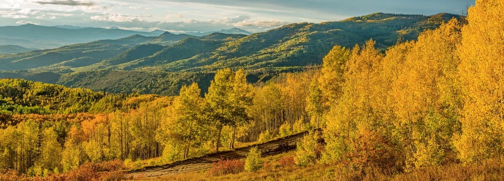 Routt National Forest, Colorado