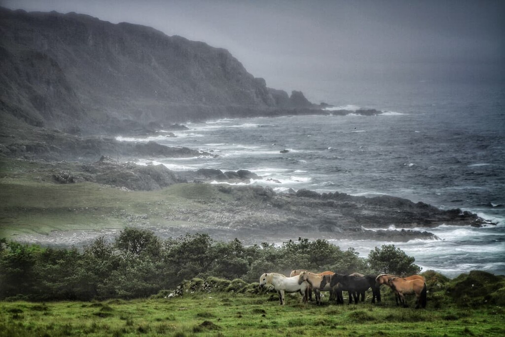 Harris via Kinloch, Rùm National Nature Reserve, Scotland