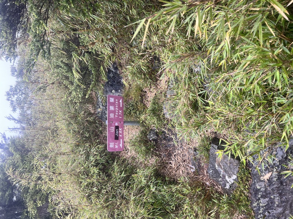 Photo №2 of 3167feng