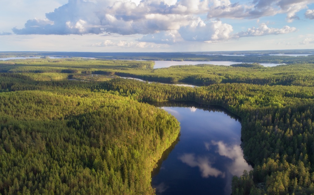 Aarnikotka Forest Nature Reserve