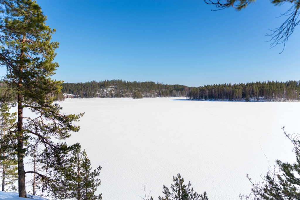 Repovesi, Aarnikotka Forest Nature Reserve, Finland