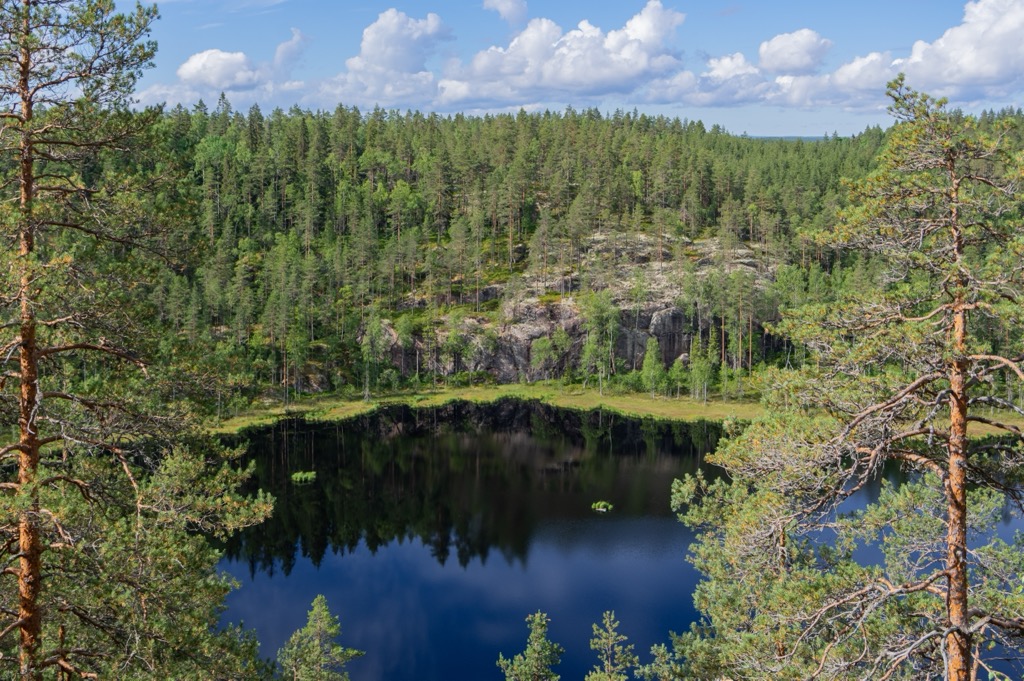 Repovesi, Aarnikotka Forest Nature Reserve, Finland