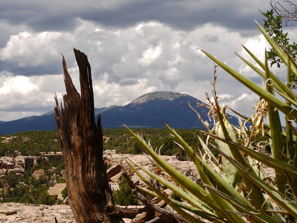 Abajo Mountains, Utah