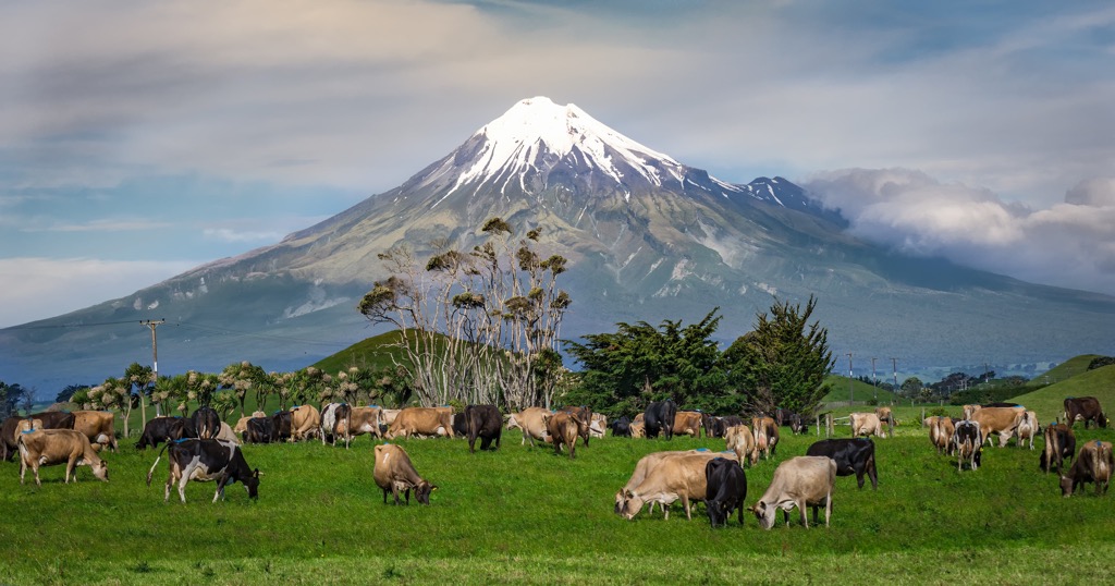 Mount Taranaki, Abel Tasman National Park