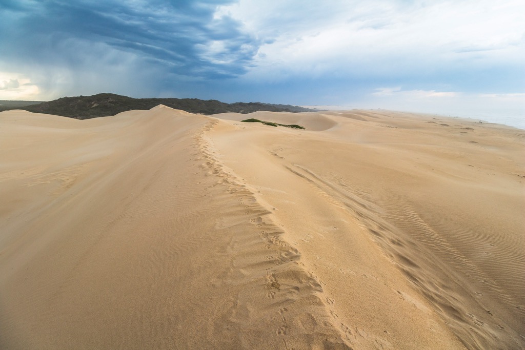 South Africa, Addo Elephant National Park, Coastal dunes of the Woody Cape