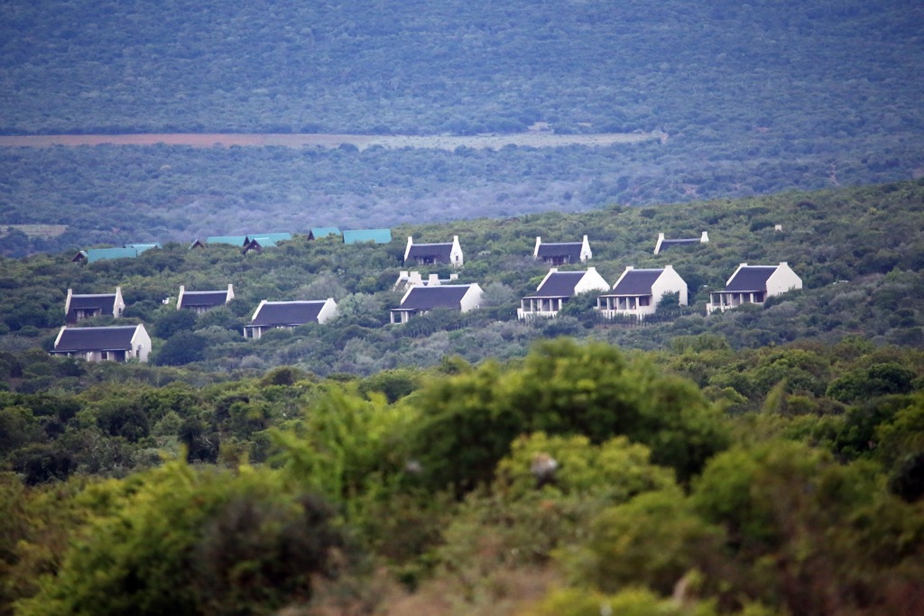 South Africa, Addo Elephant National Park, Main Camp