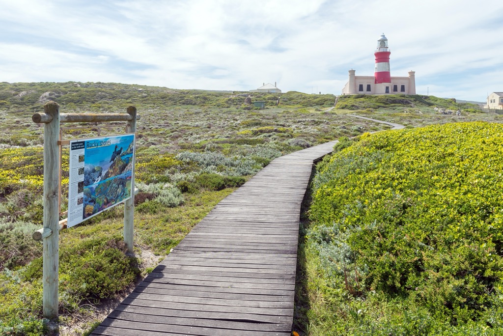Agulhas National Park, South Africa