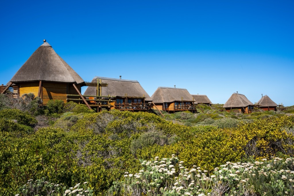 Agulhas National Park, South Africa