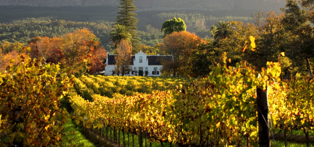 Agulhas National Park, South Africa
