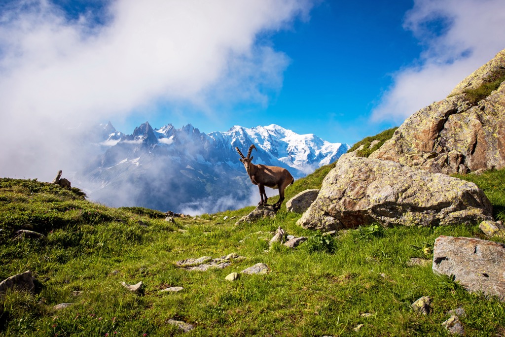 Aiguilles Rouges Massif, France