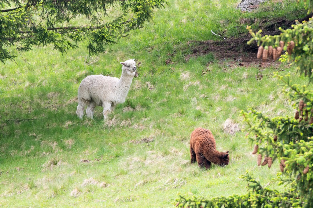 Aiguilles Rouges Massif, France