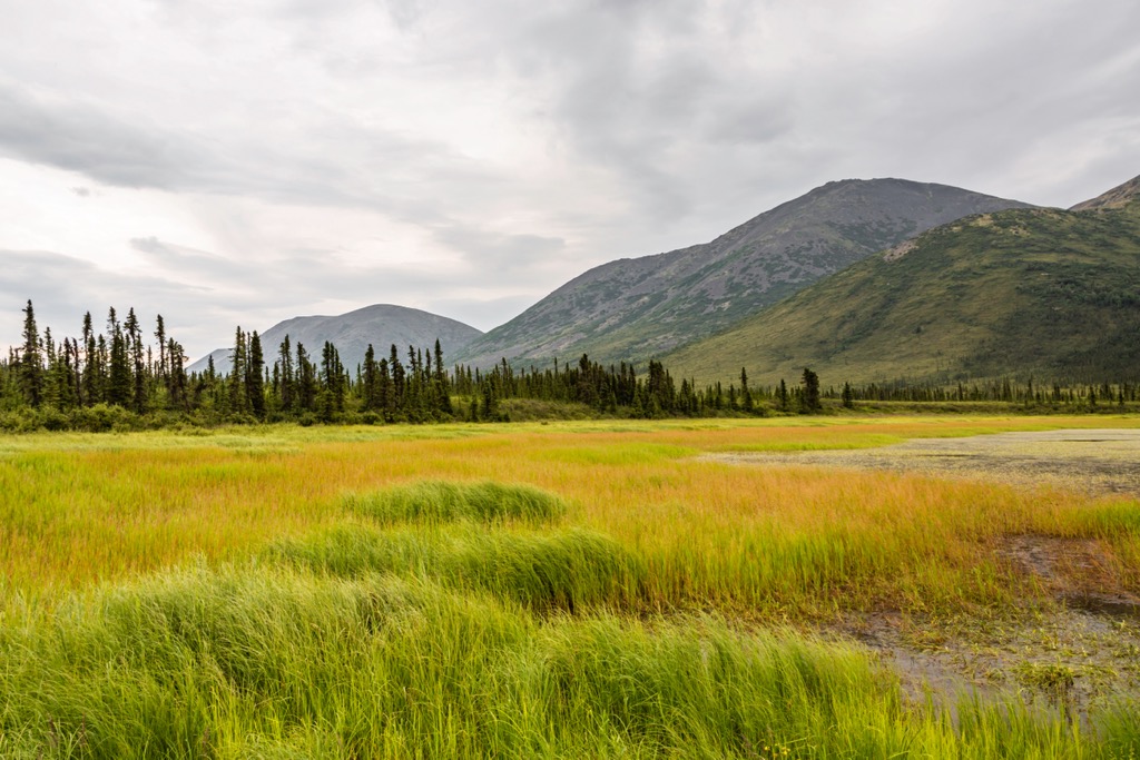 Alaska Intermountain Ranges