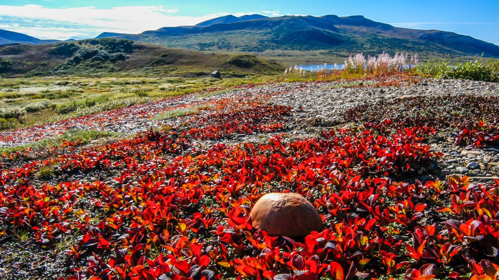 Alaska Intermountain Ranges