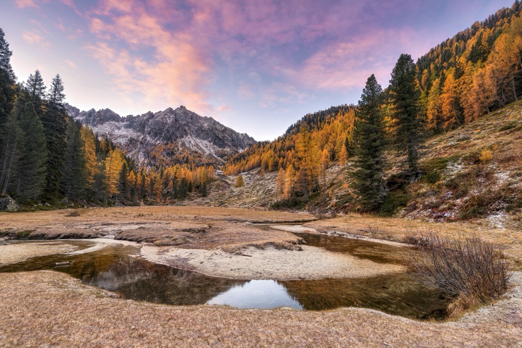 Goldener Lärchenwald in der Dämmerung in der Lagorai-Kette, Trentino