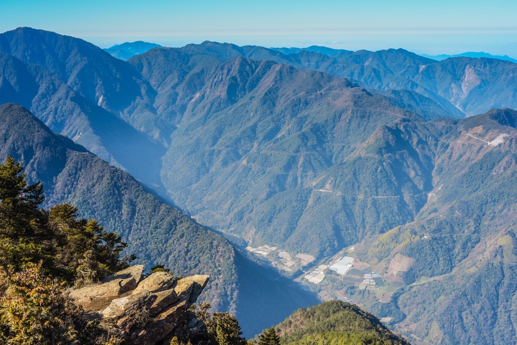 Alishan Range, Tashan Major Wildlife Habitat, Taiwan
