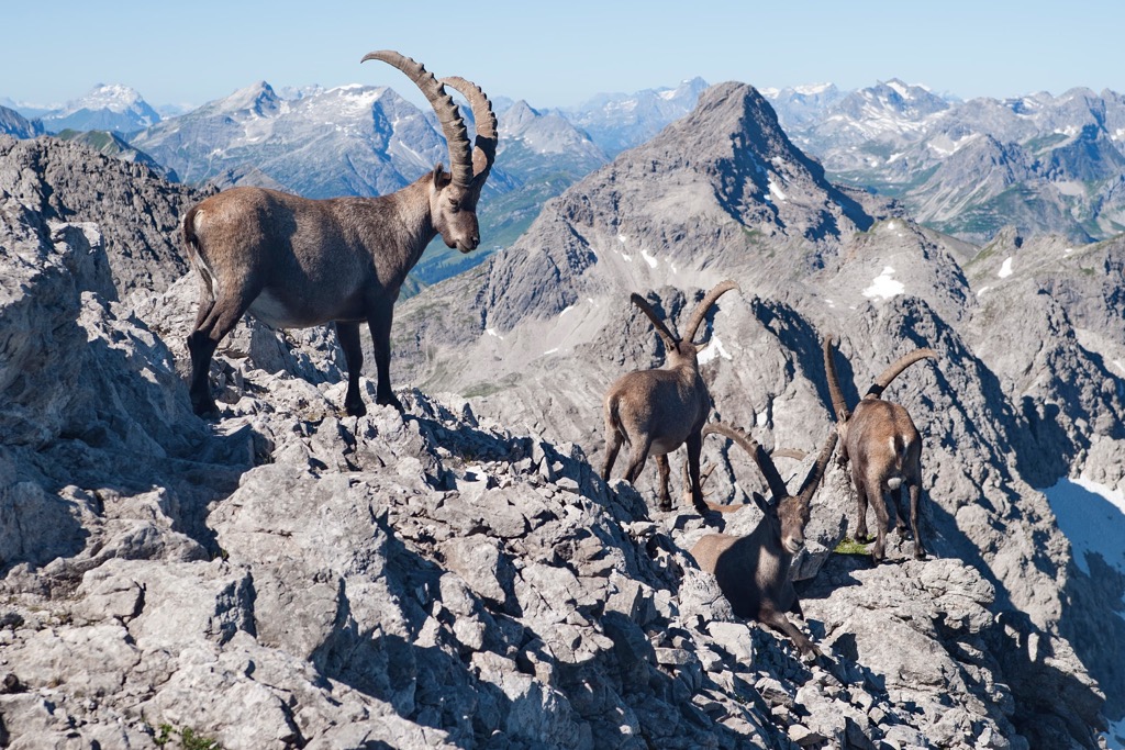  Allgäuer High Alps, Germany