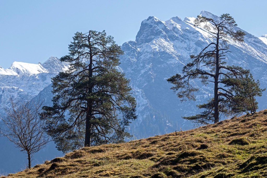 Allgäuer High Alps, Germany