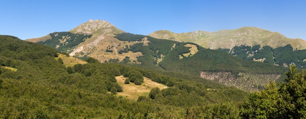 IT4030001 - SIC-ZPS - Monte Acuto, Alpe di Succiso