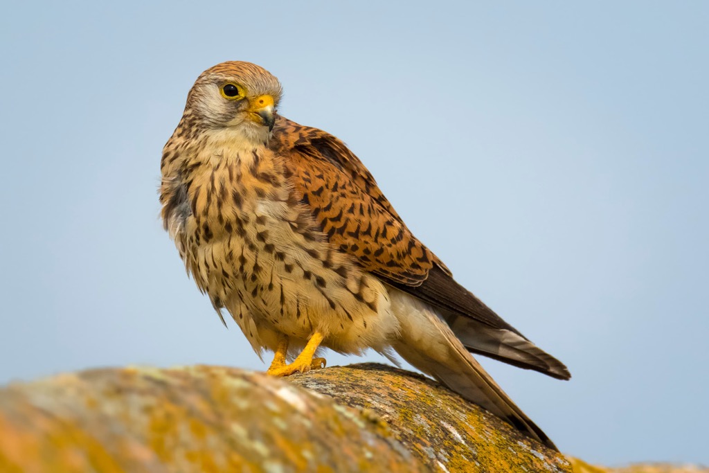 Alta Murgia National Park, Italy