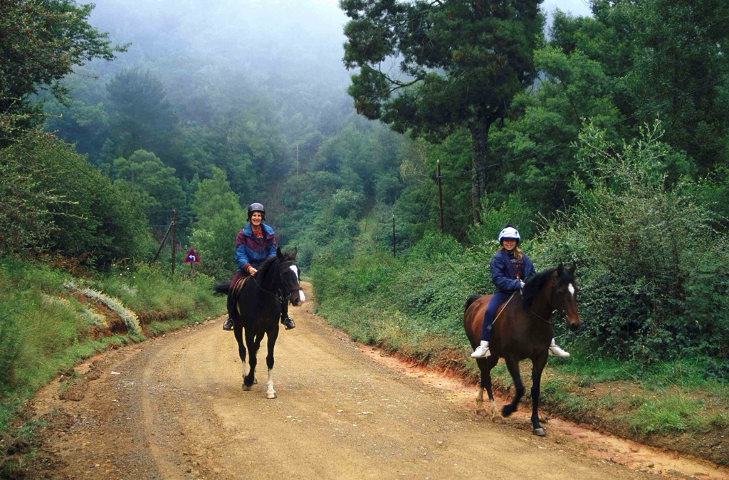 The Hogsback Horse Trail. Amathole District Municipality