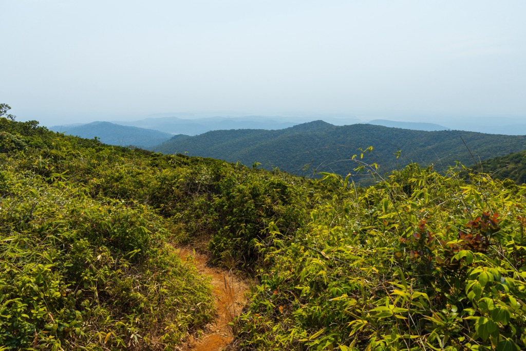 The path to Saddle Peak. Andaman and Nicobar Islands