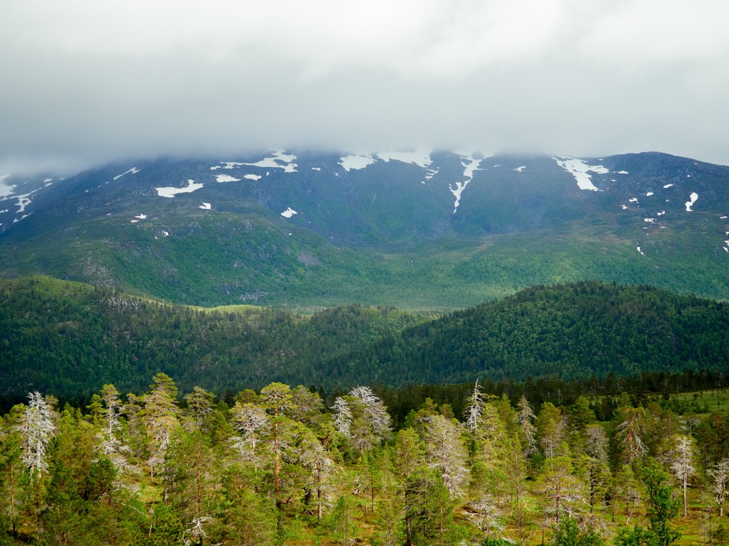 Ånderdalen National Park, Norway