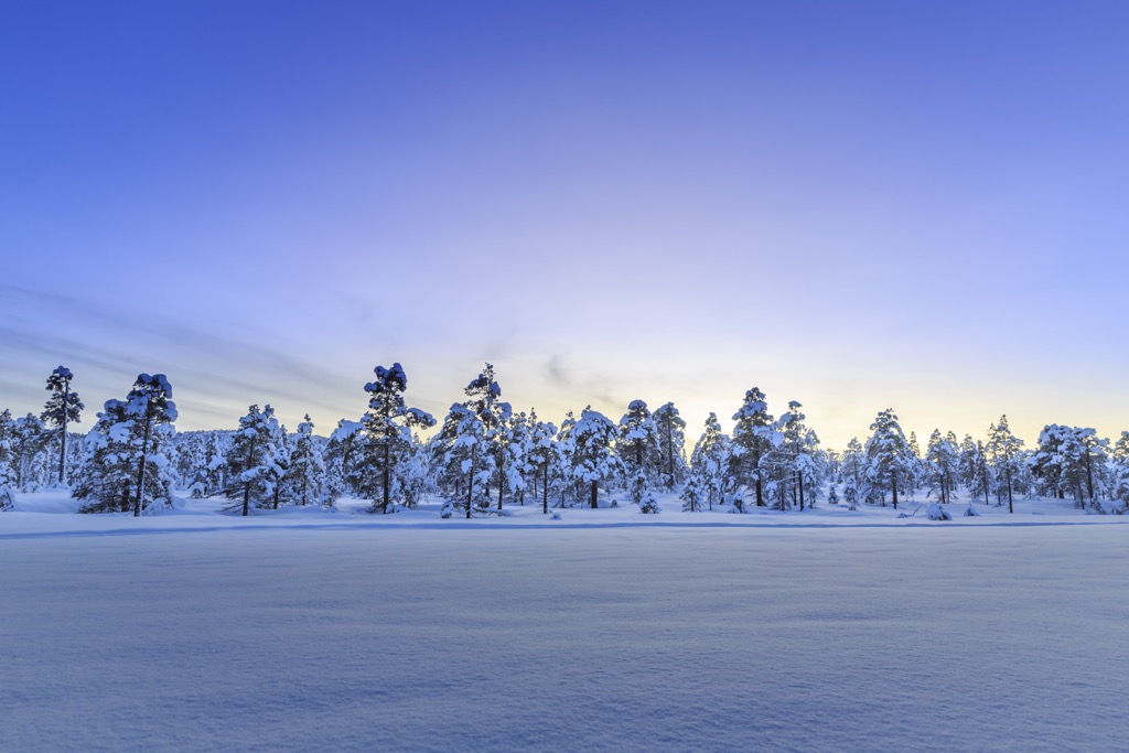 Ånderdalen National Park, Norway